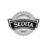 sedita-loga-portfolio sedita-loga-portfolio